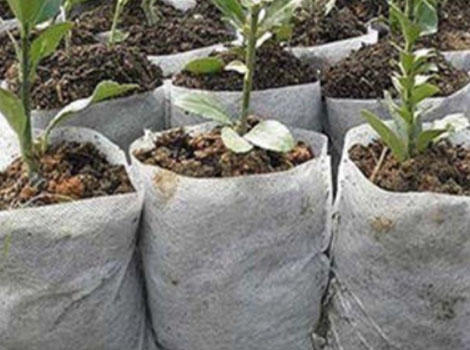 UV-resistant plant cover fabric bag factory price for gardon-7