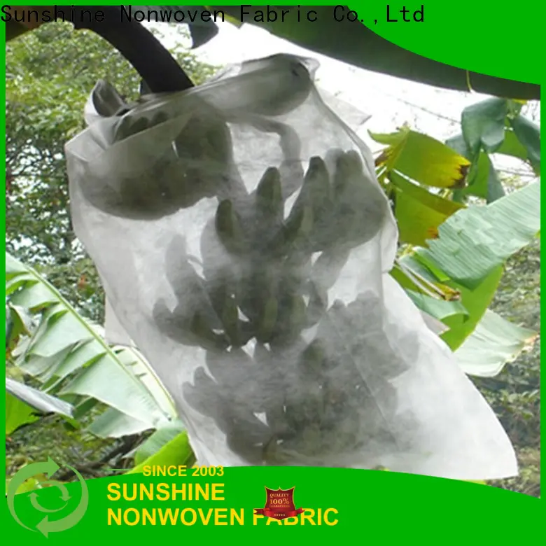 Sunshine rolled banana bunch cover from China for fruit