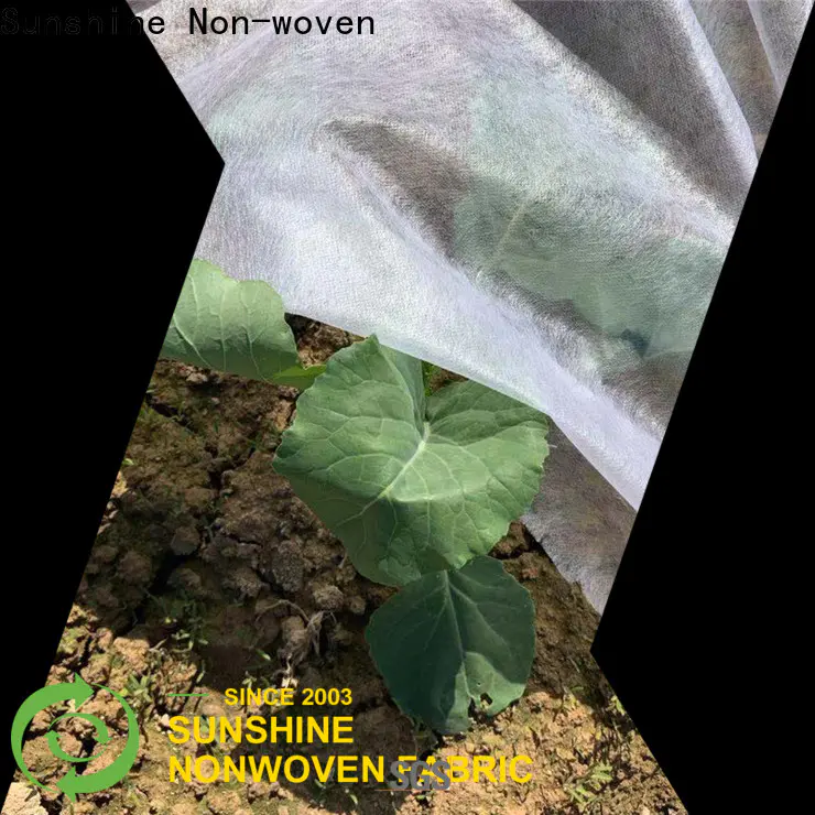 Sunshine agricultural weed control fabric wholesale for covering