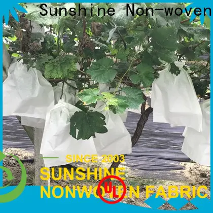 Sunshine fruit plant cover fabric from China for fruit