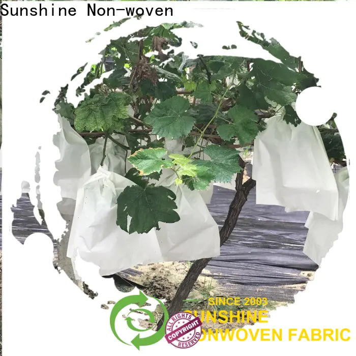 Sunshine polypropylene plant cover fabric customized