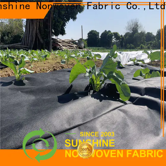 Sunshine durable weed control fabric factory for covering