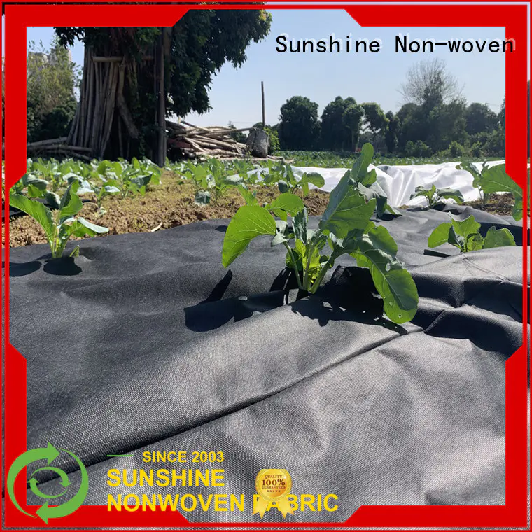 Sunshine fabric weed control fabric factory for covering