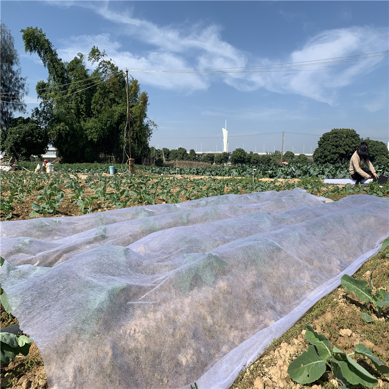 approved weed control fabric nonwoven series for outdoor-1