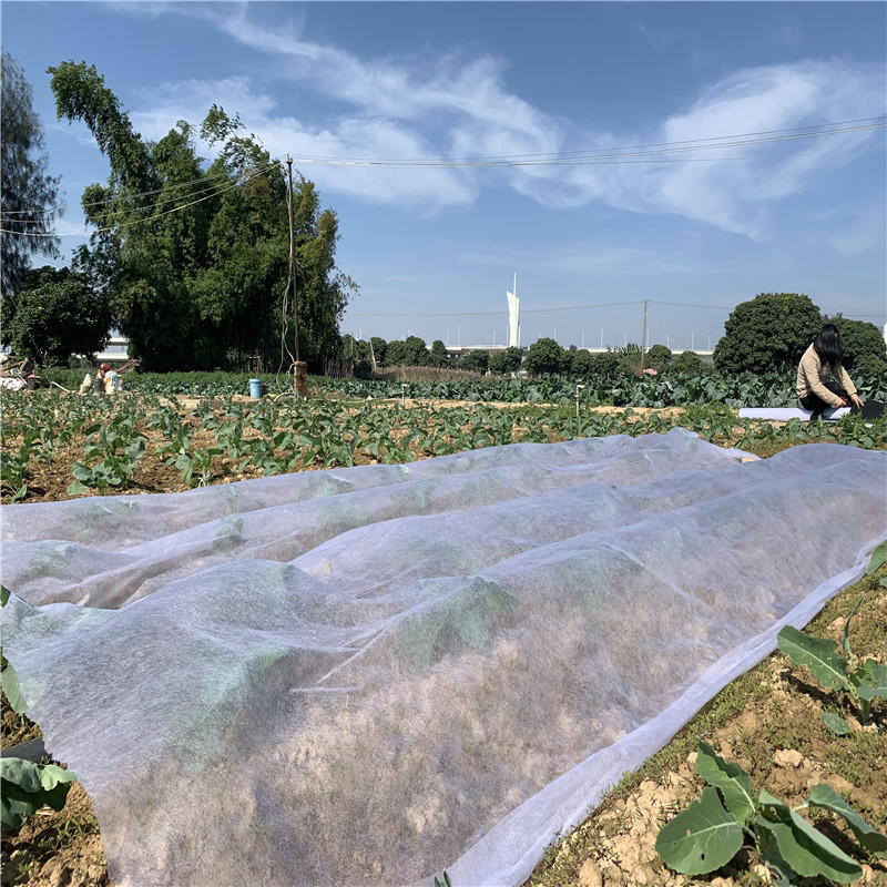 Sunshine materialgarden weed control fabric directly sale for farm