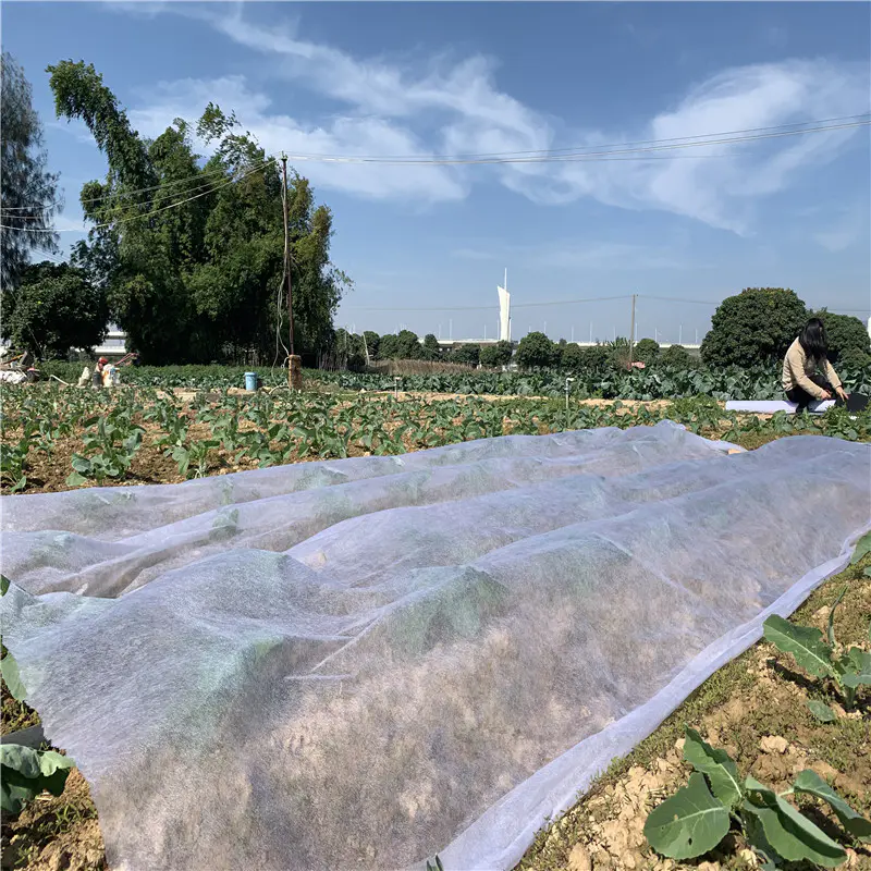 Sunshine agricultural weed control fabric wholesale for covering