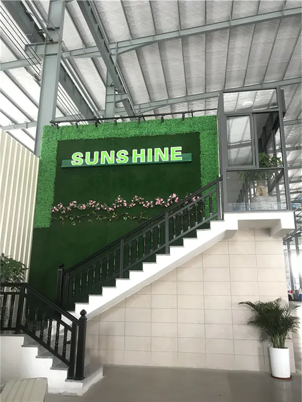 New Factory of Sunshine-1