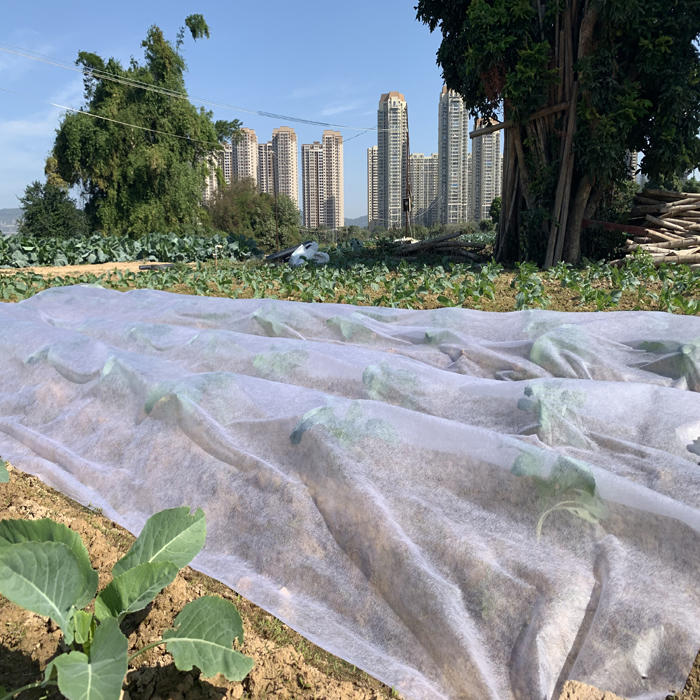 Agriculture PP Weed Control Mat Nonwoven Fabric Landscaping Fabric