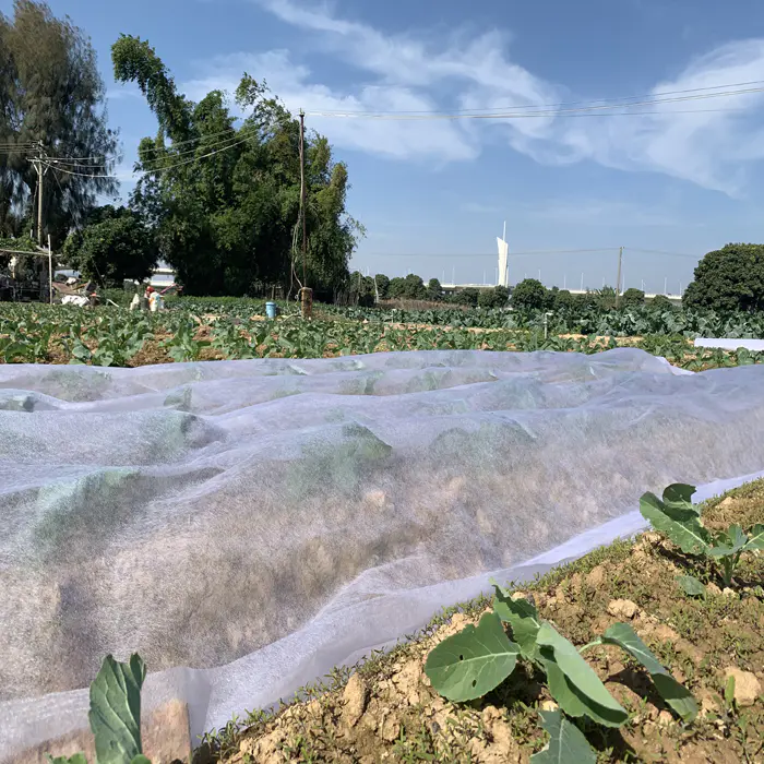 Agriculture PP Weed Control Mat Nonwoven Fabric Landscaping Fabric