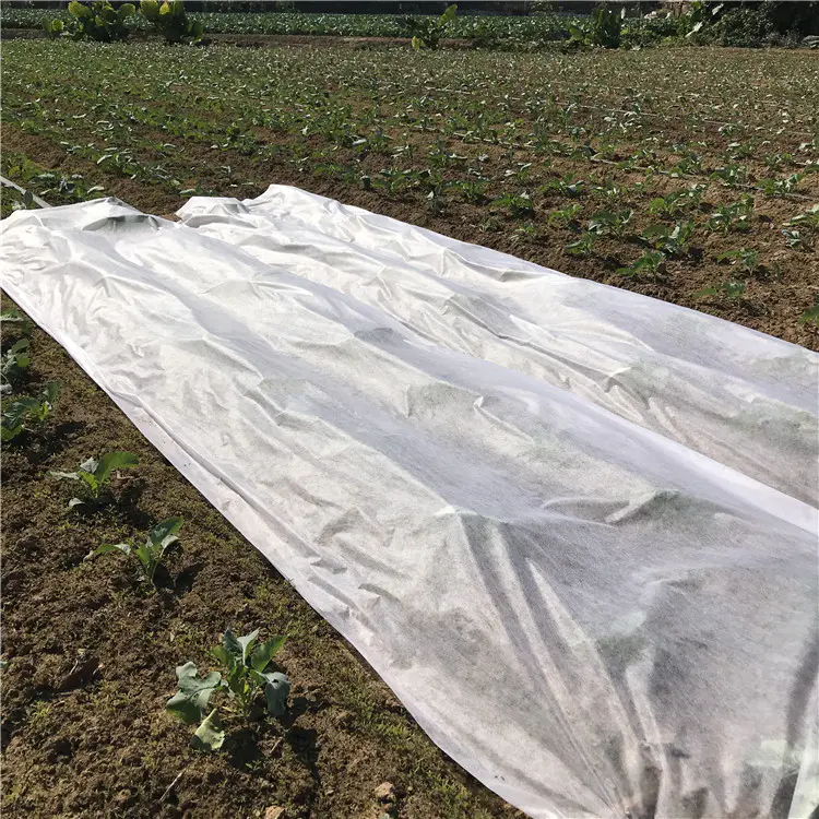 PP Spunbond Nonwoven Agriculture Biodegradable Crop Cover Vegetable Cover