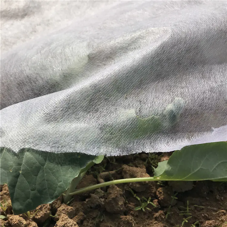 PP Spunbond Nonwoven Agriculture Biodegradable Crop Cover Vegetable Cover