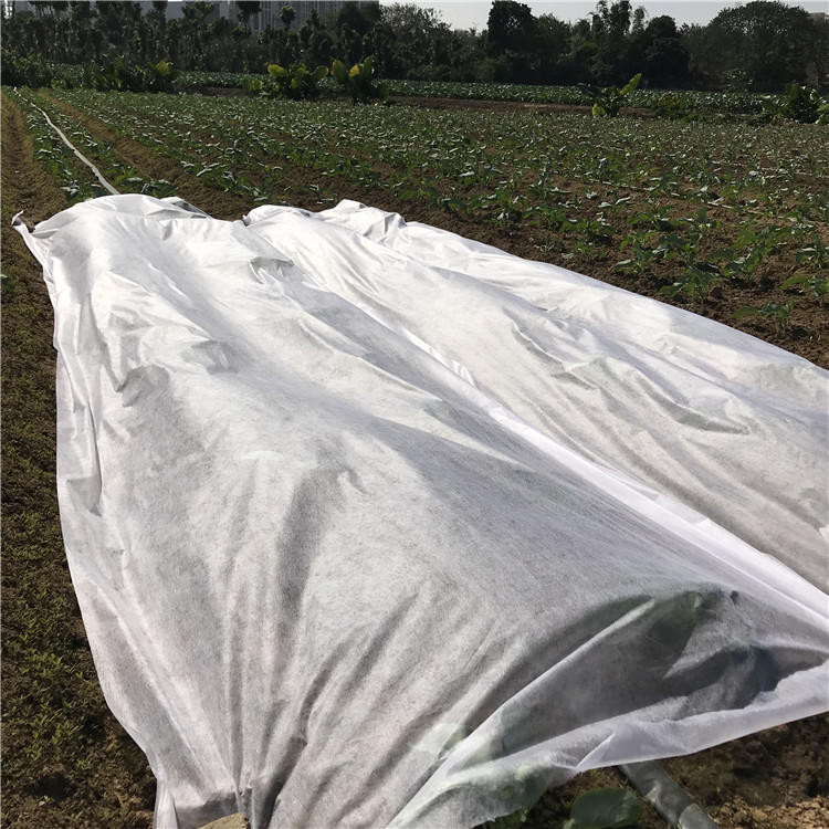 Agriculture Anti-uv PP Spunbonded Nonwoven Fabric Plant Cover For Garden