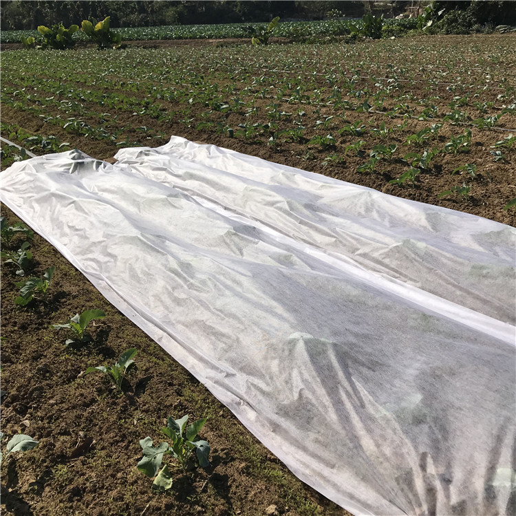 Agriculture Anti-uv PP Spunbonded Nonwoven Fabric Plant Cover For Garden