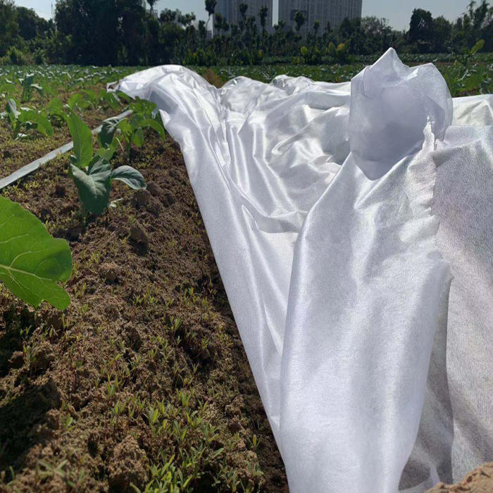 Anti-UV biodegradable pp spunbond non woven plant cover
