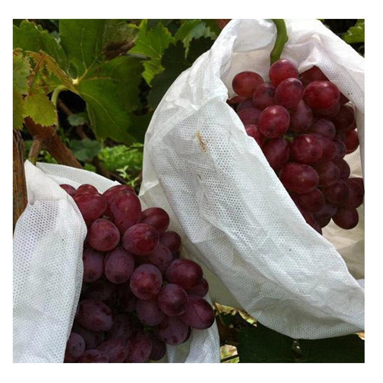PP spunbond nonwoven fabric uv protection for fruit bag