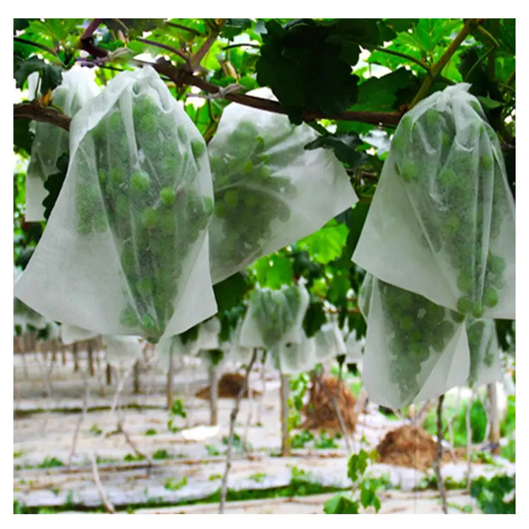 Factory Price 100% polypropylene Fruit Protection Bag cover Spunbond Non woven Agriculture Fabric