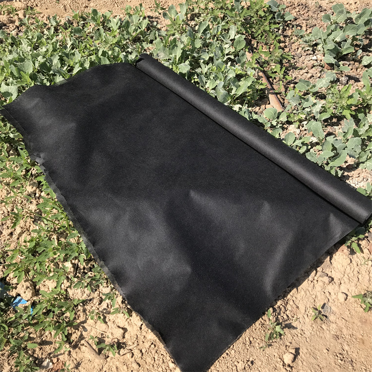 UV Protection Fabric 100% PP Nonwoven Plant Cover Fabric for Agriculture