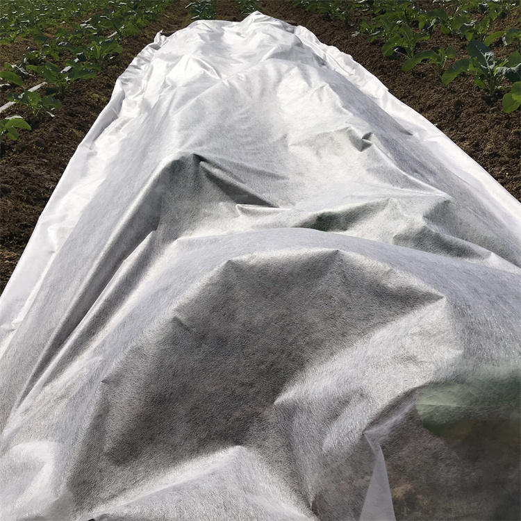 Hot Sale in Guatemala Agriculture Used 17gsm Plant Covers Protection PP Nonwoven Fabric