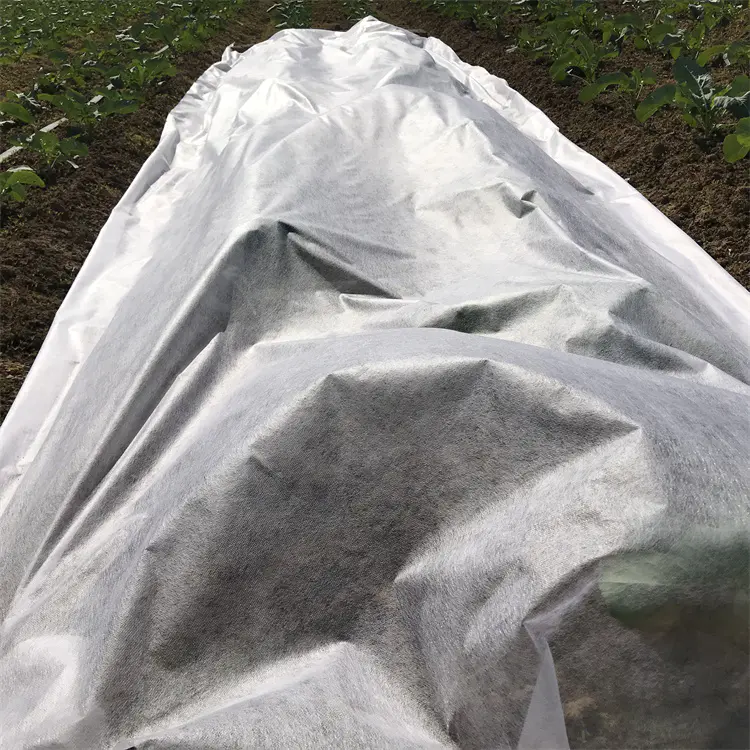 Breathable Eco-Friendly Polypropylene Agriculture Fabric Plant Covers Protection