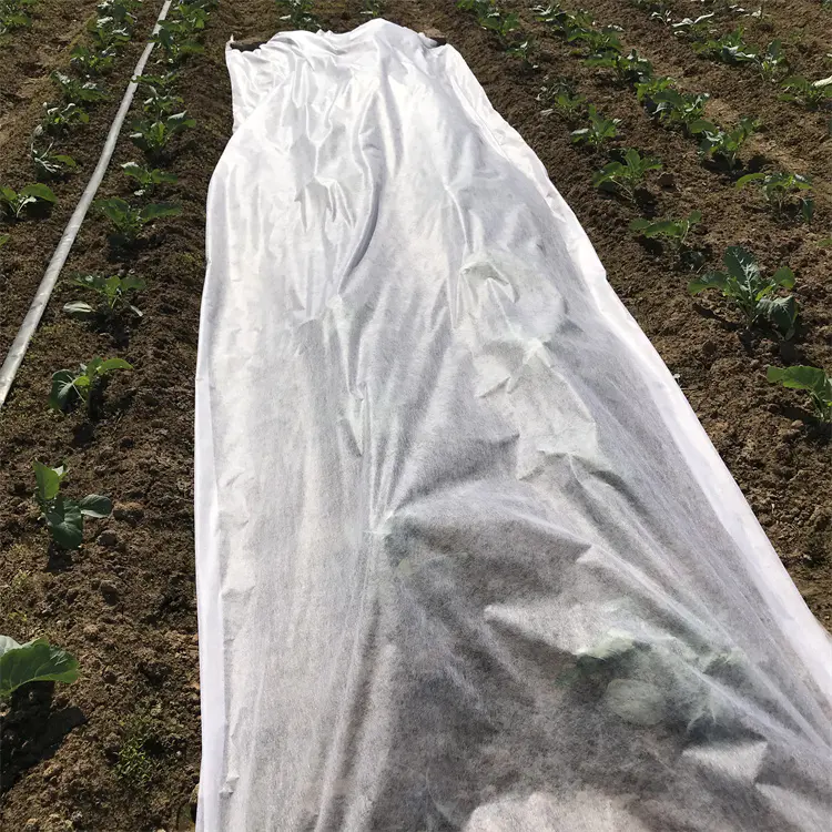 Hot Sale in Guatemala Agriculture Used 17gsm Plant Covers Protection PP Nonwoven Fabric