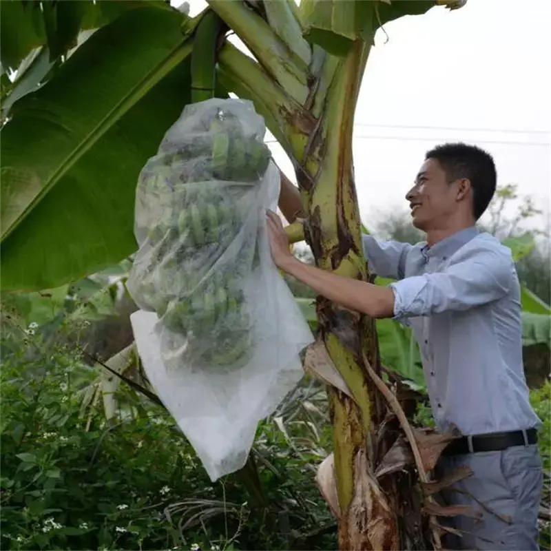 breathable 100% polypropylene agriculture nonwoven fabric fruit bag with 1-3% UV