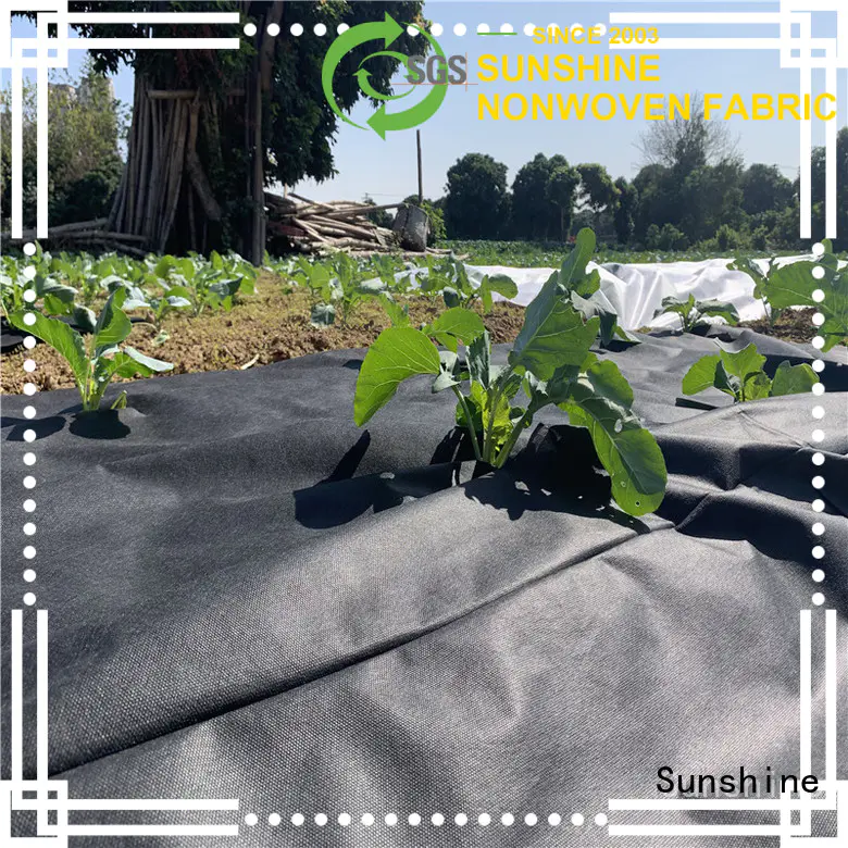 Sunshine quality landscape fabric wholesale for covering