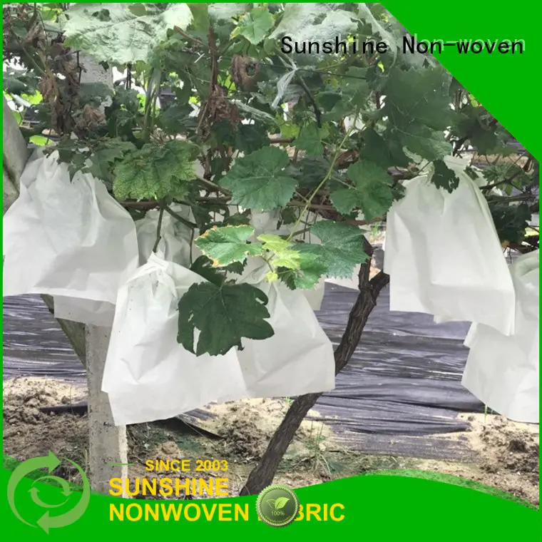UV-resistant plant cover fabric polypropylene supplier for fruit