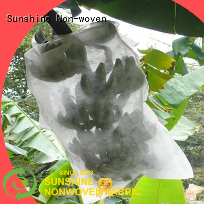 UV-resistant plant cover fabric polypropylene factory price for fruit