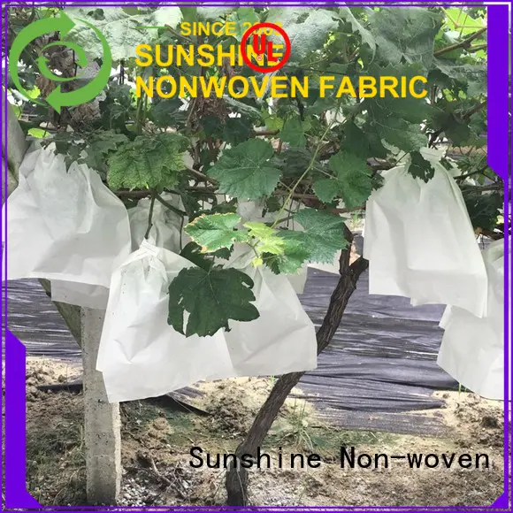 Sunshine banana plant cover fabric factory price for gardon