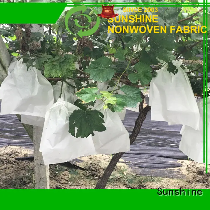Sunshine fruit plant cover fabric from China for gardon