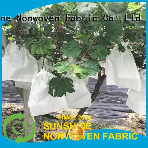 Sunshine grape plant cover fabric supplier for fruit